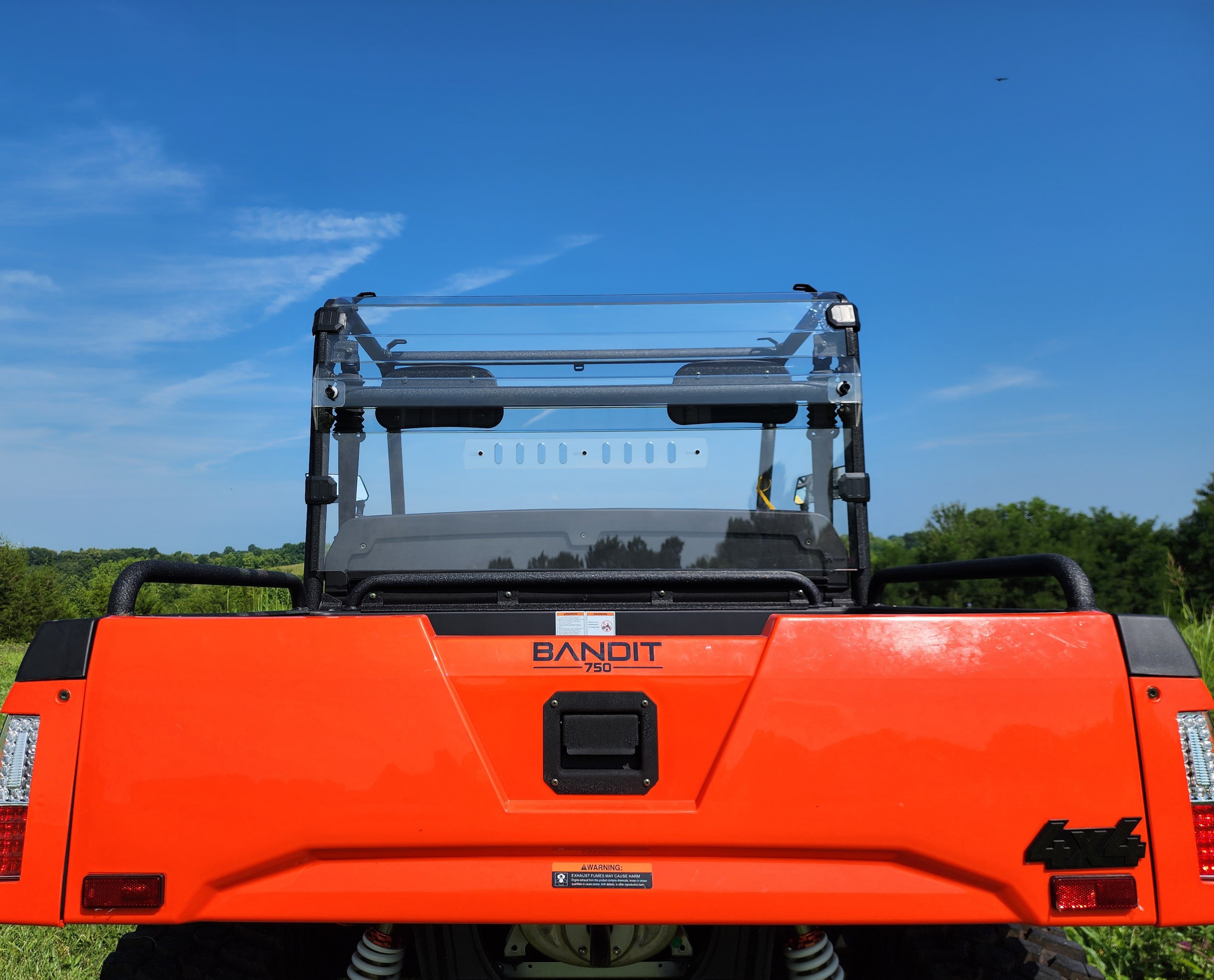 Bad Boy Bandit 750 - 1 Pc Lexan Back Panel