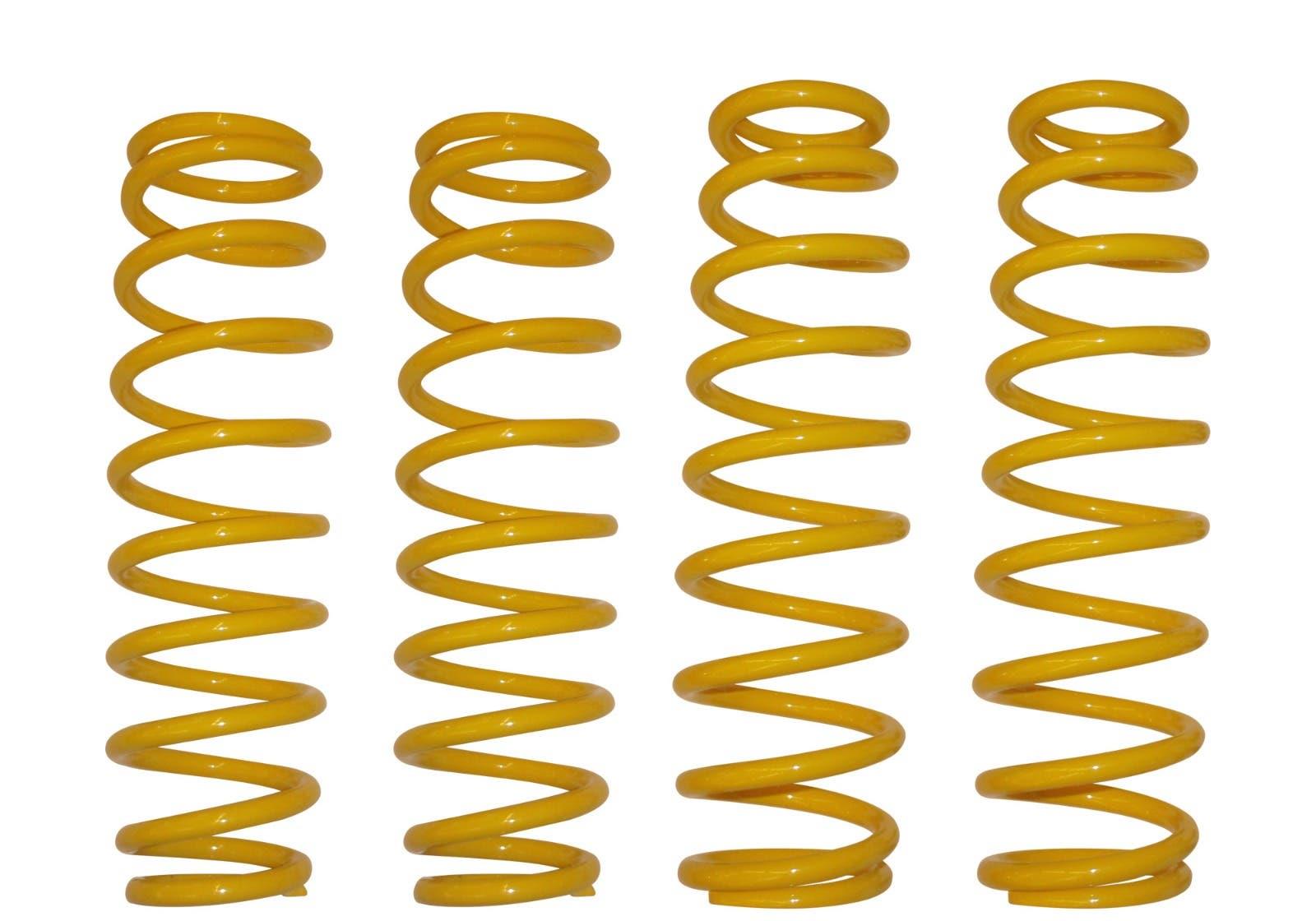 Can-Am Commander 6" Lift Kit Replacement Springs (Set Of 4 Springs)